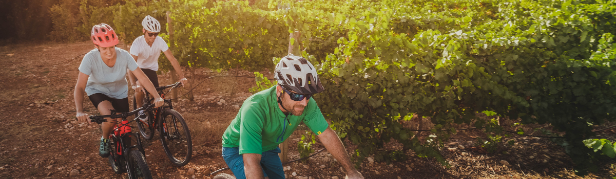 Ruta Vía Verde del Vino